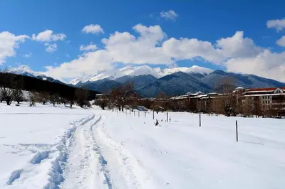 a snow covered field with mountains in the background at Panorama Bansko in Bansko