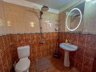 a bathroom with a toilet and a sink at Златкова къща in Koprivshtitsa