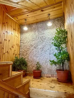 a room with three potted plants and a stone wall at Златкова къща in Koprivshtitsa
