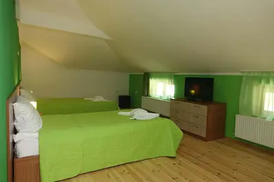 a green bedroom with two beds and a television at Горски Кът in Devin