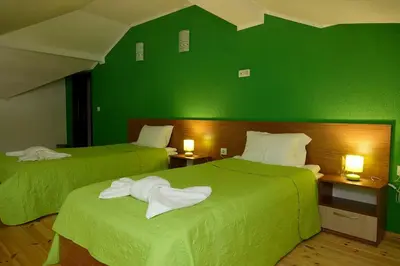 two green beds in a room with green walls at Горски Кът in Devin