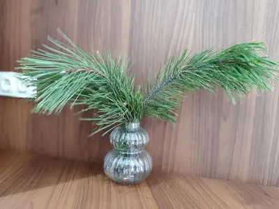 a glass vase with a plant in it on a table at View apartment #1 in Bansko
