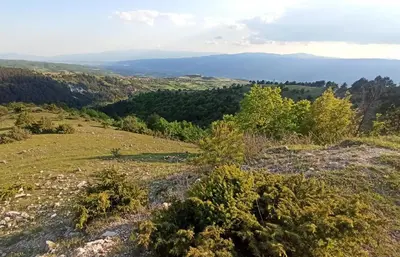 a view from the top of a hill with trees at Wellnesshouse Müller in Ilindentsi