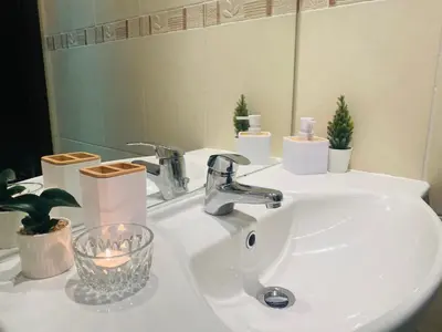 a white bathroom sink with a mirror and a plant at Apartment in Bansko, very close to the Gondola in Bansko