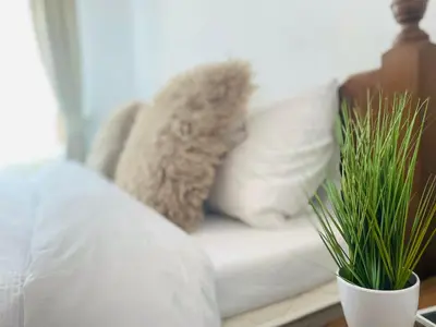 a white couch with two potted plants on a table at Apartment in Bansko, very close to the Gondola in Bansko