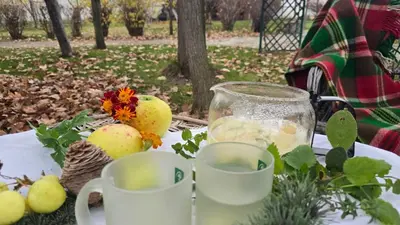 a table with a glass pitcher of lemonade and fruits at Galeria In The Garden in Plovdiv