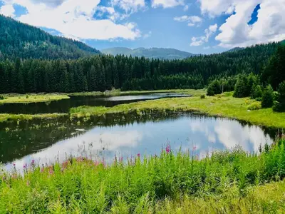 a pond in the middle of a field with trees at Deer Lake 521 at Oak Residence Hotel & Relax in Smolyan