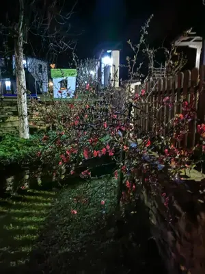 a fence with pink flowers on it at night at Къща за гости КИМ in Apriltsi