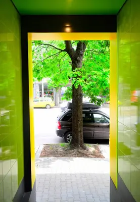 a yellow and green wall with a tree and a car at Green Cube Capsule Hostel in Sofia