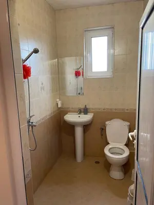 a bathroom with a toilet and a sink at Къща Бети самостоятелни апартаменти с двор край Пловдив in Skutare
