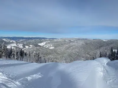 a snow covered hill with trees and mountains in the background at Cedar Heights 2 in Pamporovo