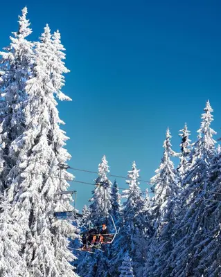 a group of people riding a ski lift through snow covered trees at Cedar Heights 2 in Pamporovo