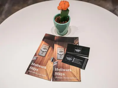 a plant sitting on a table with a book at Urban Exec Suite with Free Gym Pass, Full Office Setup and Designated Parking Space in Plovdiv