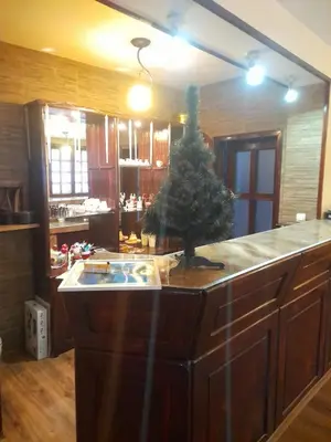 a kitchen with a christmas tree on top of a counter at Къща за гости Дани in Govedartsi