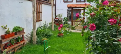 a garden with pink roses and a house at стаи за гости Никол in Starosel