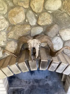 a skull of a bird laying on a rock wall at КЪЩА ЗА ГОСТИ ВОДЕНИЦАТА in Devin