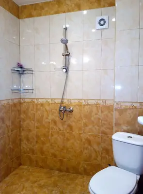 a bathroom with a shower with a toilet at 