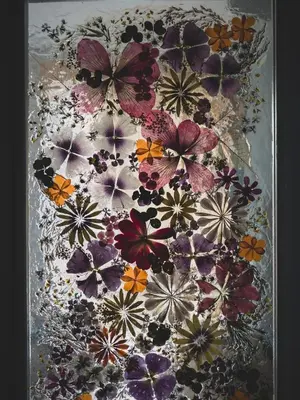 a collage of different colored butterflies on a table at Stylish 1BD - Free Private Garage in Plovdiv