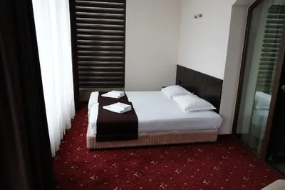 a bed in a room with a red carpet at Hotel Dragalevtsi in Sofia