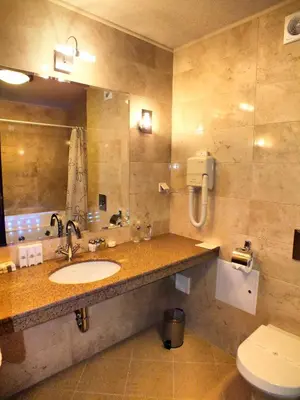 a bathroom with a sink and a toilet and a mirror at Hotel Dragalevtsi in Sofia