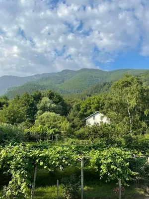 a house in a vineyard with mountains in the background at Апартамент Никола и Мария in Sapareva Banya