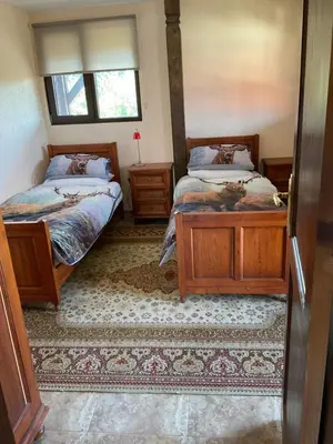 a bedroom with two beds and a cat laying on the floor at Three Graces in Banya
