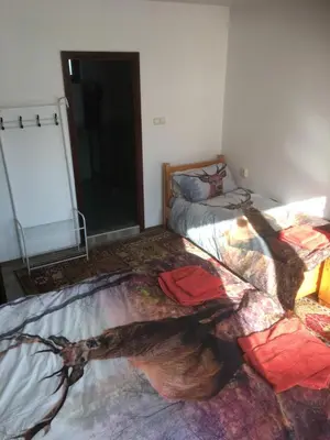a bedroom with a large bed with a painting on it at Three Graces in Banya