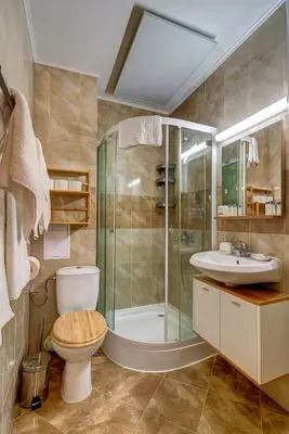 a bathroom with a shower and a toilet and a sink at Villa Kometa Pamporovo Cozy 1-BD Flat by Flat Mаnager in Pamporovo
