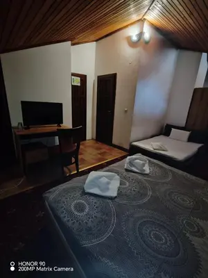 a room with a bed and a desk with a computer at Парк - Хотел Макензен in Melnik