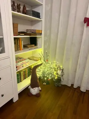 a toy dinosaur and a christmas tree in a book shelf at Sofo house in Sofia