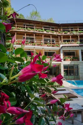 a group of pink flowers in front of a building at Hotel Saint Nedelya in Kolarovo