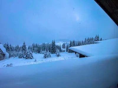 a view of a snow covered yard with trees at Panorama View-Stoykite in Stoykite