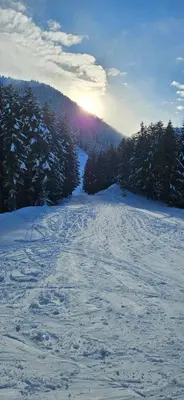 a snow covered field with trees and the sun in the distance at Four Seasons Apartment Bansko in Bansko