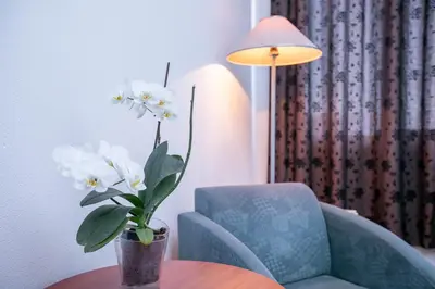 a vase of white flowers on a table next to a chair at Family Hotel Ambrozia in Sandanski