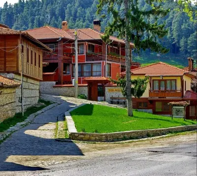 a house with a tree in the middle of a street at Denis Guest house in Koprivshtitsa