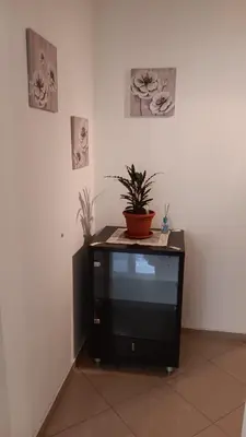 a black cabinet with a potted plant on top of it at Serenity Apt Iztok Sofia in Sofia