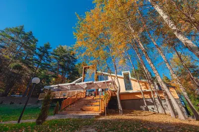 a house with a wooden staircase in the woods at Saint Constantine Mountain Retreat in Peshtera