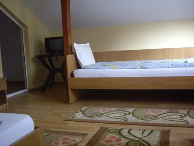 a bedroom with a bed and a television and a rug at Villa Shipkovo in Shipkovo