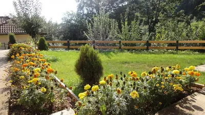 a garden of flowers in front of a fence at Villa Shipkovo in Shipkovo