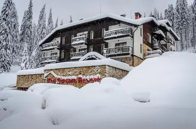 a building covered in snow with trees in the background at Forest view in Pamporovo