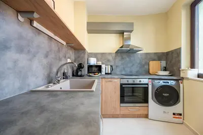 a kitchen with a sink and a dishwasher at Three Lilies Apartments in Plovdiv