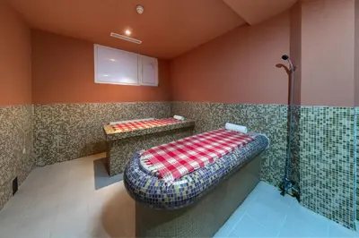 a bathroom with a shower with a seat in the corner at Hotel Panorama Ski in Pamporovo