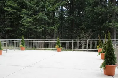 a patio with potted plants and a fence at Stylish one bedroomed apartment 112 in main Flora building in Borovets