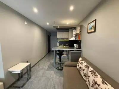 a living room with a couch and a desk in a room at Апартаменти в сърцето на парка in Sandanski