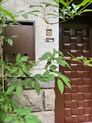 a brown door on a stone wall with green leaves at River's house, free parking! in Sofia