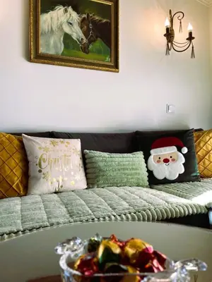 a living room with a couch with a santa claus pillow at River's house, free parking! in Sofia