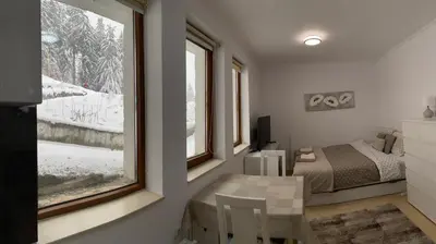 a bedroom with a bed and a window at Ski-in Ski-out Studio, Grand Monastery, Pamporovo in Pamporovo
