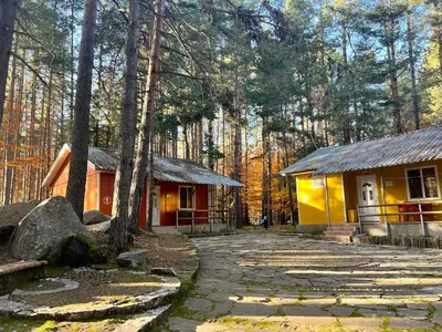 a couple of cottages in the woods at Почивна база Пиринпласт in Gotse Delchev