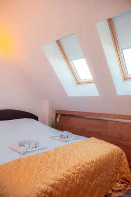 a bedroom with skylights on the ceiling with a bed at Pumpkin Spiced Suite with Own Parking and Office Setup in Sofia