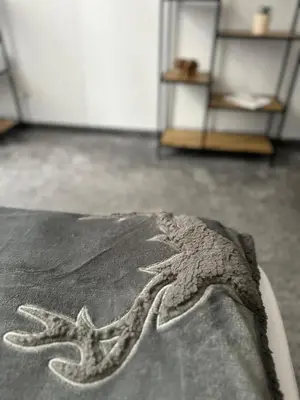 a painting of a star fish on a rug at Апартхотел Флора 213Б in Borovets